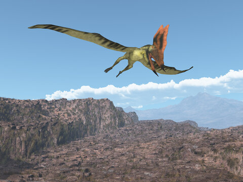 Flugsaurier Thalassodromeus über einer felsigen Landschaft