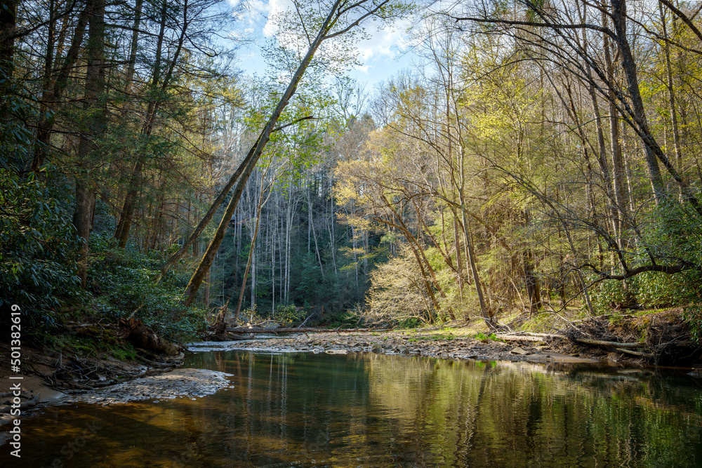 Wall mural View of Swift Camp Creek in Kentucky Cliffty Wilderness in the Daniel Boone National Forest