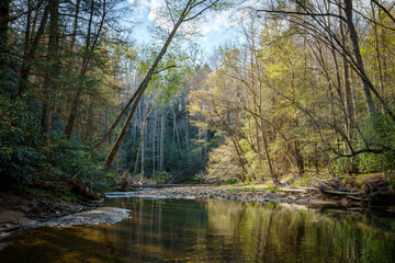 View of Swift Camp Creek in Kentucky Cliffty Wilderness in the Daniel Boone National Forest