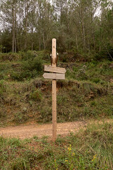 Wooden post with signposts in the forest