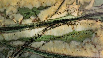 Green background, a natural stone