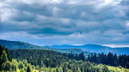 Carpathian forest landscape, Skole Beskids National Nature Park, Ukraine