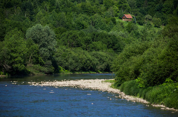 Striy river in the Carpathian mountains, Skole Beskids National Nature Park, Ukraine