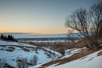 A tree on the slope of a ravine with dragging snow at sunset. The coming of spring