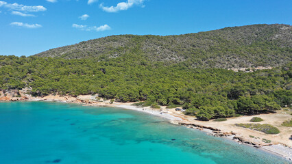 Aerial drone photo of paradise bay and turquoise beach of Dragonera covered in pine trees in small...