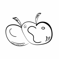 Doodle apples illustration. Picnic vector icon set. Organic food. Fresh fruits. Black line art on white background.