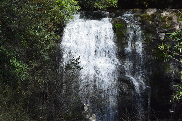 Spring Day in Tennessee, Turkeys, Kids, Water Falls, White water, Waterfalls, Sunny day, Natural Beauty, Fun Sights, Hiking, 