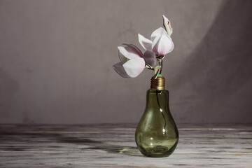 Sprig of artificial magnolia flower from foamiran in a green vase in the shape of a light bulb on...