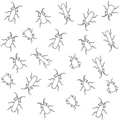 Isolated insects on white background