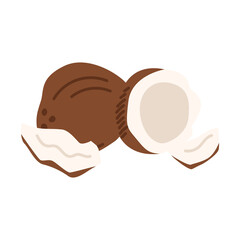 Sliced coconuts. Vector illustration on isolated background.