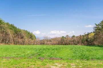 Naklejka premium 春の黒沢洞合自然公園 安曇野市