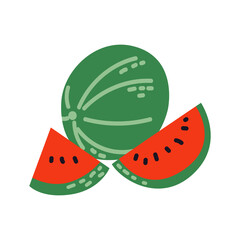 Watermelon slices. Summer tropical fruit. Vector illustration on isolated background.