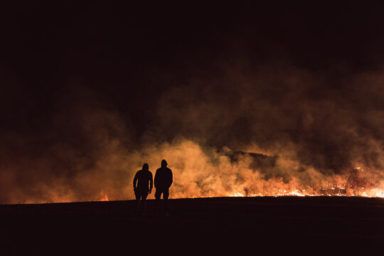 View of wildfire in a field in the evening