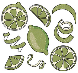 Collection set of green lemon lime and citrus fruits zest twist. Doodle cartoon style vector illustration. For menu, farmers market design, cocktail making process, cookbook decoration etc