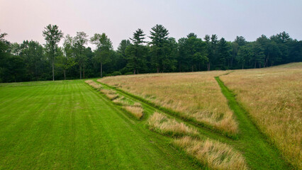 Fototapeta na wymiar landscape with field and trees