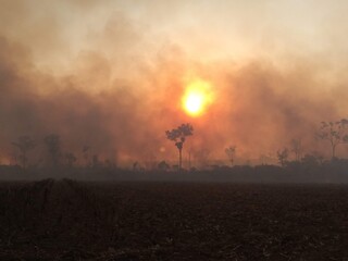 Fototapeta premium sunrise in the field