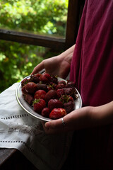 Woman standing at the window and holding ripe strawberry on silver oval plate, summer garden concept, selective focus