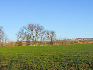 Countryside in Fontanar Castilla-La Mancha Spain