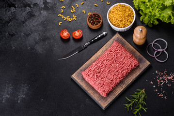 Fresh raw mince with spices and herbs on a dark concrete background