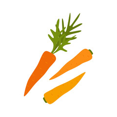 Vector illustration of carrots isolated on white background. Vegetables for healthy lifestyle. Fresh and healthy food. Vegetarian nutrition.