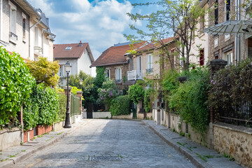 Fototapeta na wymiar Paris, picturesque neighborhood of the Campagne à Paris, in the 20e arrondissement, wisteria in spring 