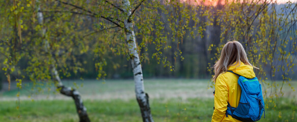 Woman with backpack and yellow jacket hiking in forest during sunset. Panoramic view at hiker in woodland. Trekking at springtime