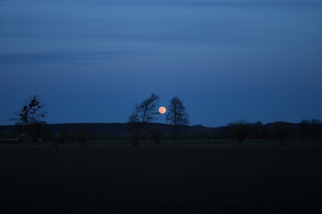 Moonrise, full moon, tree shadows, the valley of the Lower Vistula.