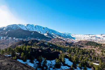 Panoramic view on solidified lava, ash, pumice fields of erupted Sartorio crater. Landscape dark volcanic sand on bare terrain. View on snow capped volcano mount Etna, in Sicily, Italy, Europe. Pine