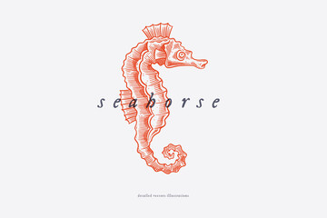 Hand-drawn red seahorse on a light background. Retro picture for the menu of fish restaurants, markets and shops. Vector illustration in vintage engraving style. © KOSIM