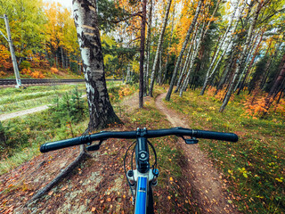 bicycle in the park