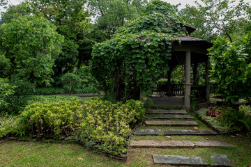 Thailand, Abandoned, Architecture, Chair, Color Image