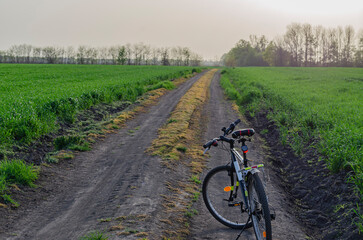 Fototapeta na wymiar a bicycle on a field road. Fields of wheat. Sport.