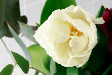 Spring flowers in vase on white backround - Image