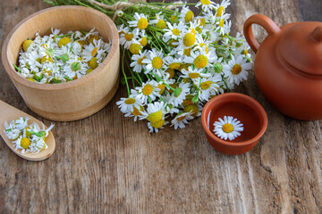 Obraz na płótnie Canvas cup of herbal chamomile tea and daisy tea bags and fresh flower 