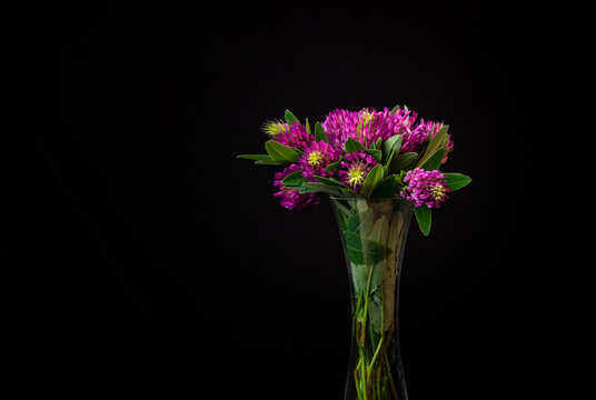 still life of wild flowers in a vase on a black background.