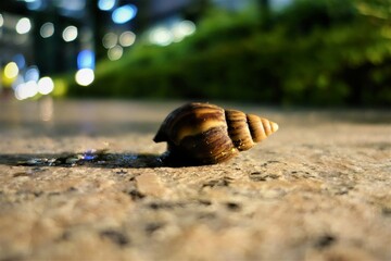 One big housing screw on a pathway at night