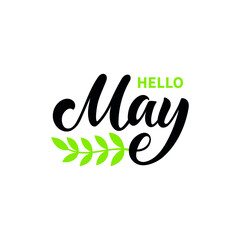 Hello May handwritten text isolated on white background with ribbon and leaves as logo, icon, card. Spring postcard, invitation, flyer. Vector illustration. Hand lettering, modern brush calligraphy