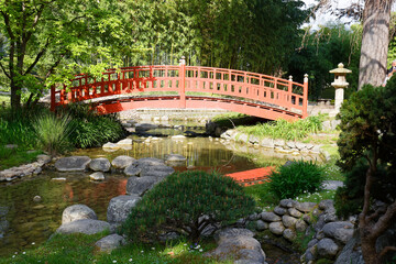 Fototapeta na wymiar Red bridge in a japanese garden in summer , Paris.