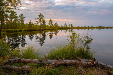 Fototapeta na wymiar Lake at a large bog