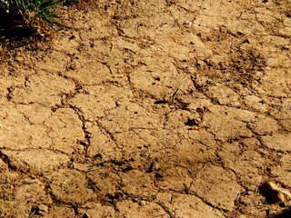 cracked earth texture