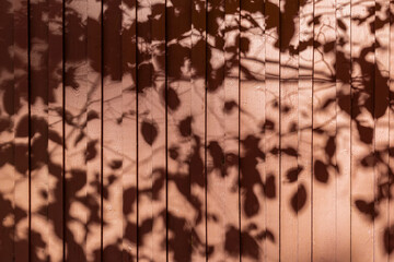Tree branches shadows on sunlit wooden wall