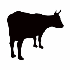 a cow body silhouette vector