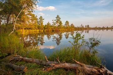 Lake at a large bog