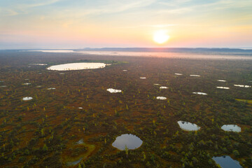Bird's eye view of a bog