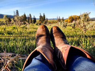 cowboy boots in the pasture