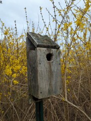 wooden bird house