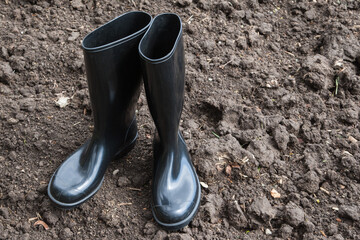Agriculture was one of the first industries to use simple, unlined black wellies.. They are...