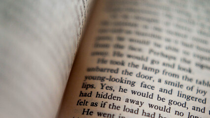 Open book, flipping quickly through book pages - Powered by Adobe