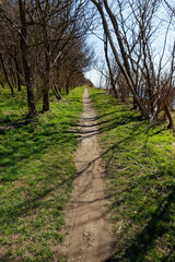 path in the park