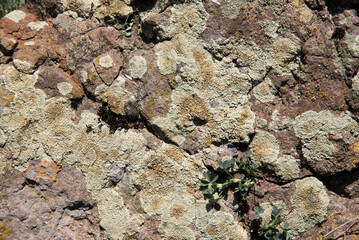 Close up of a stone with moss. Stone texture.